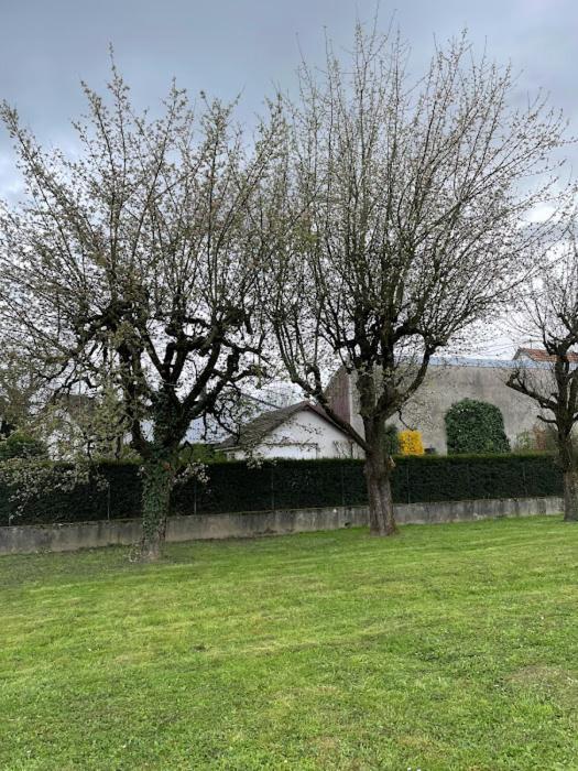 Basel Airport Garden Otel Blotzheim Dış mekan fotoğraf